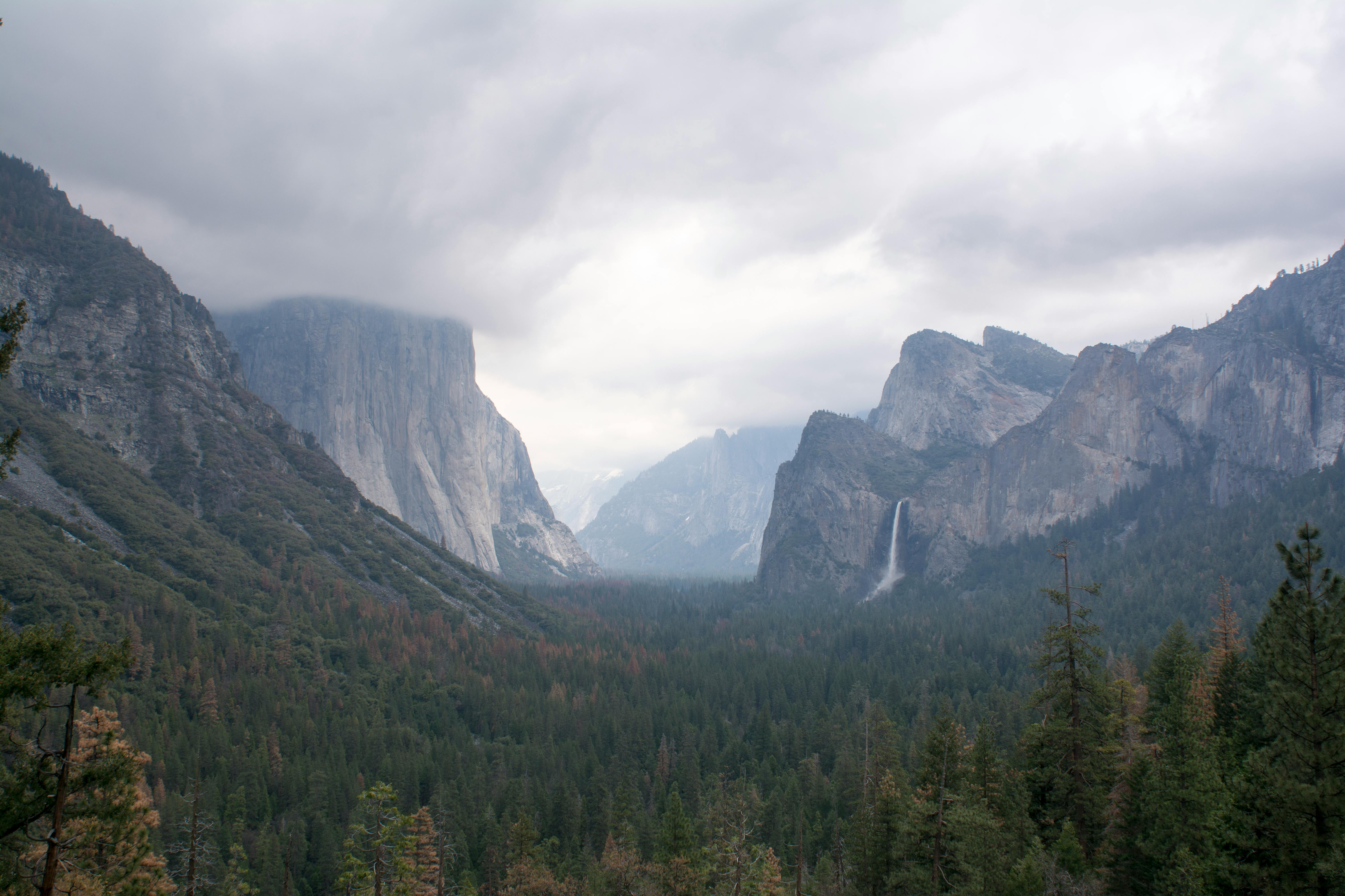 Canon EOS R6 Mark II