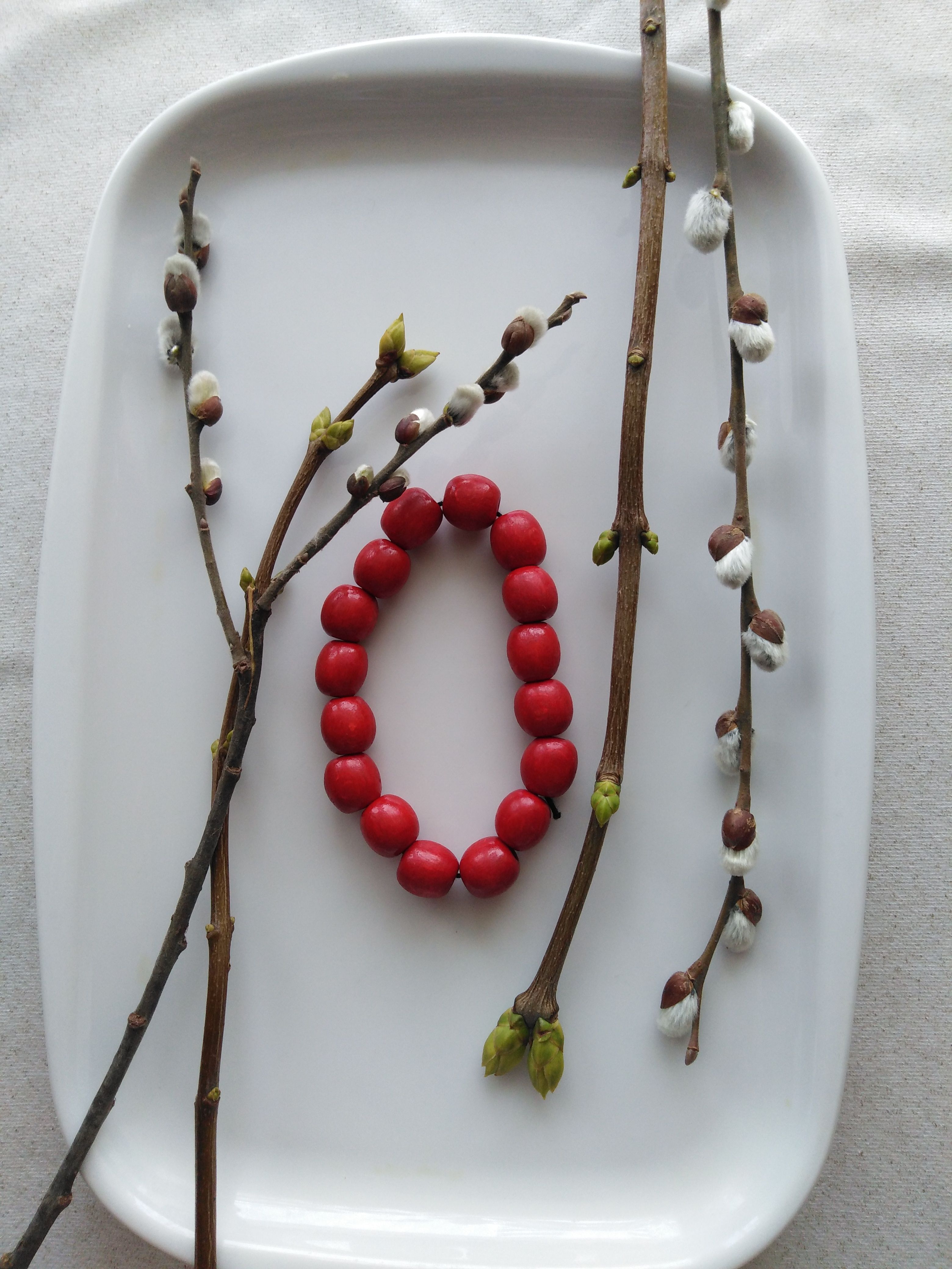 Δωρεάν στοκ φωτογραφιών με flatlay, αισθητικός, άνοιξη Φωτογραφία από στοκ φωτογραφιών