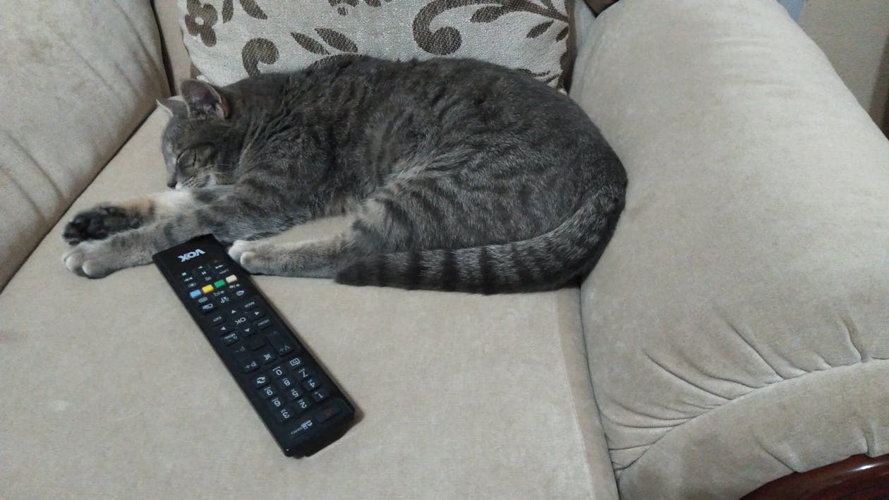 Big Pharma 如何用 AI 加速新藥研發?2026 年醫藥產業革命預測與深度剖析 Big Pharma 如何用 AI 加速新藥研發?2026 年醫藥產業革命預測與深度剖析