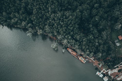 Barge and boats moored on river shore