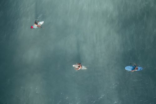Free Drone view of male travelers swimming on surfboards on rippling blue ocean in exotic resort Stock Photo