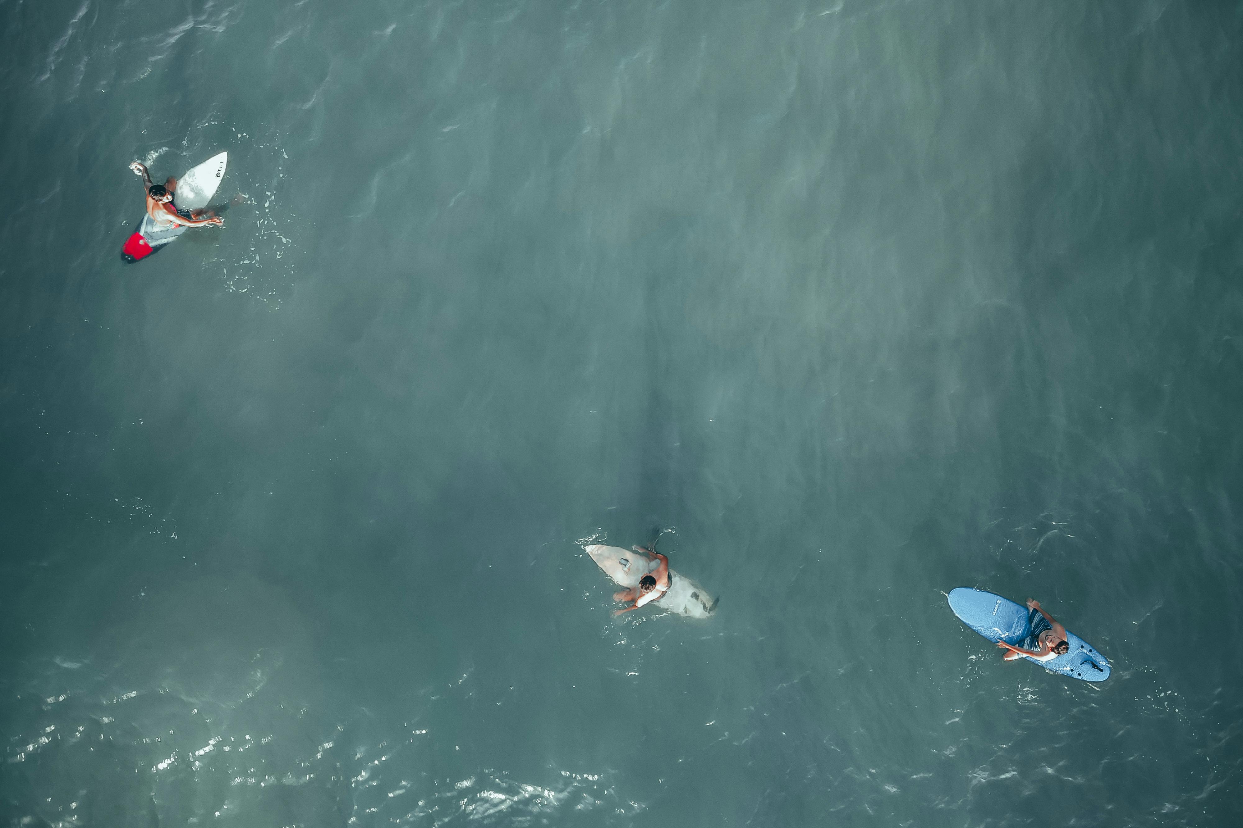 98. Musim Terbaik untuk Berlibur ke Malaysia