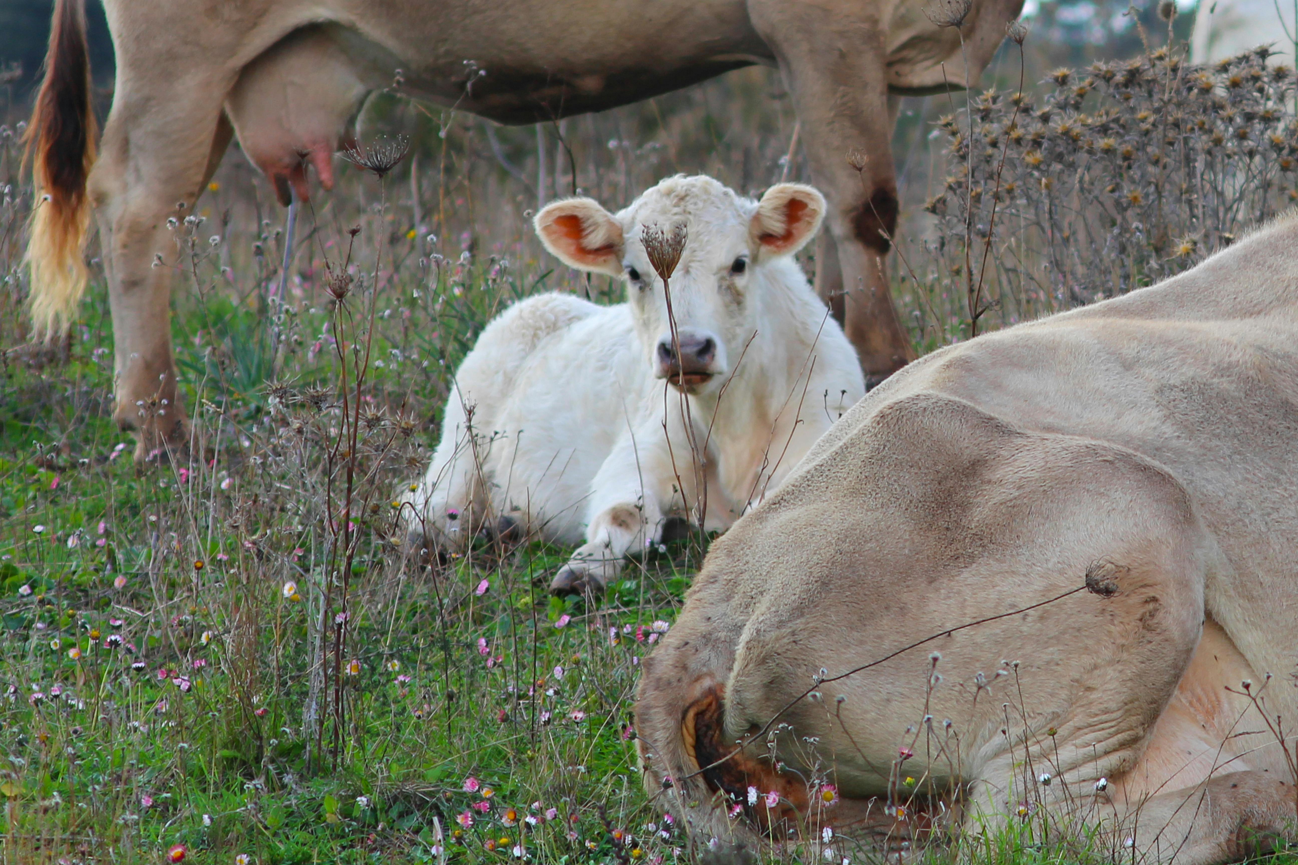 Fabio Tedde Photography