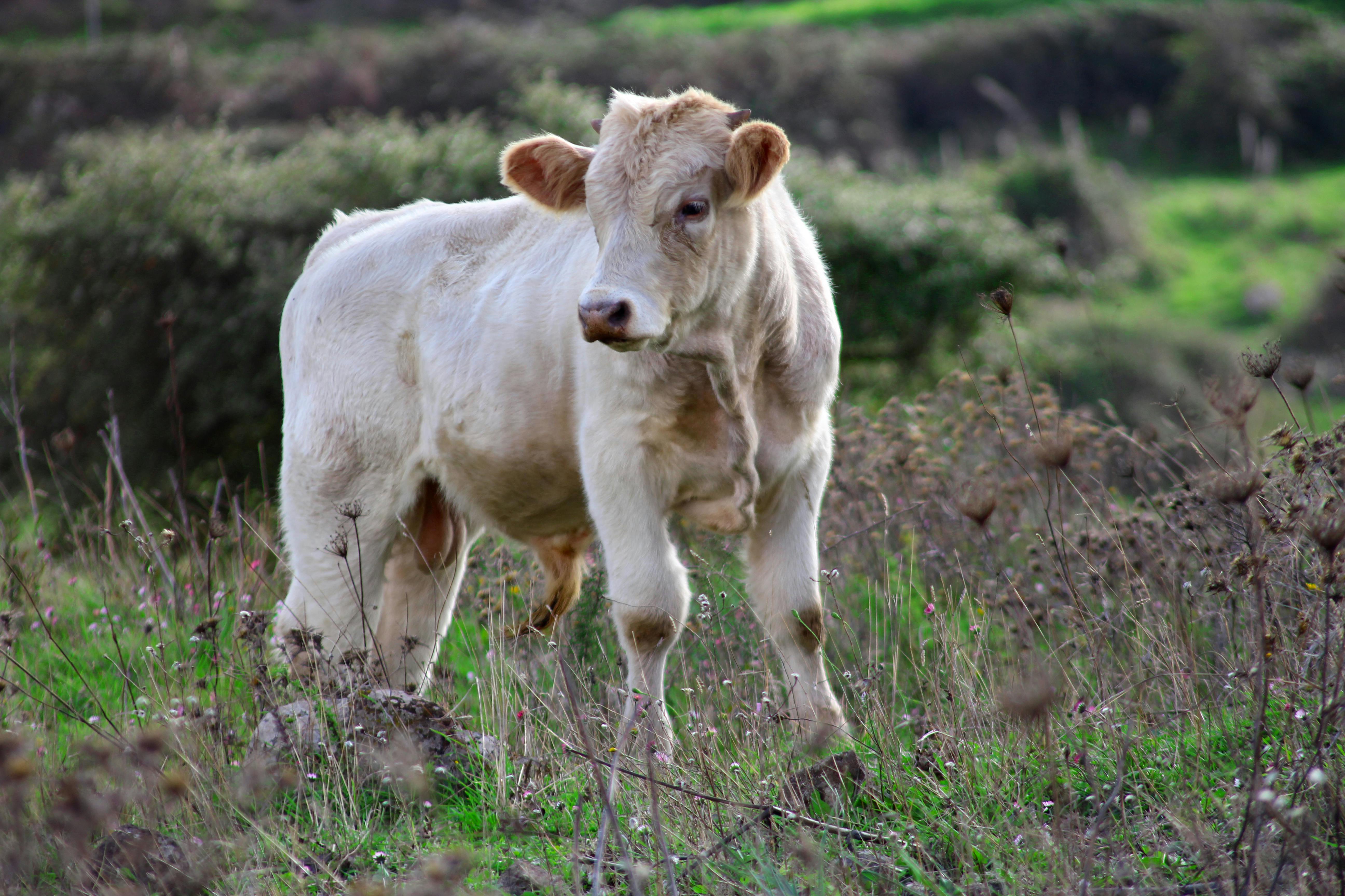 Fabio Tedde Photography