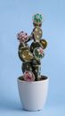 A Cactus Sculpture on a Pot with Assorted Brooches