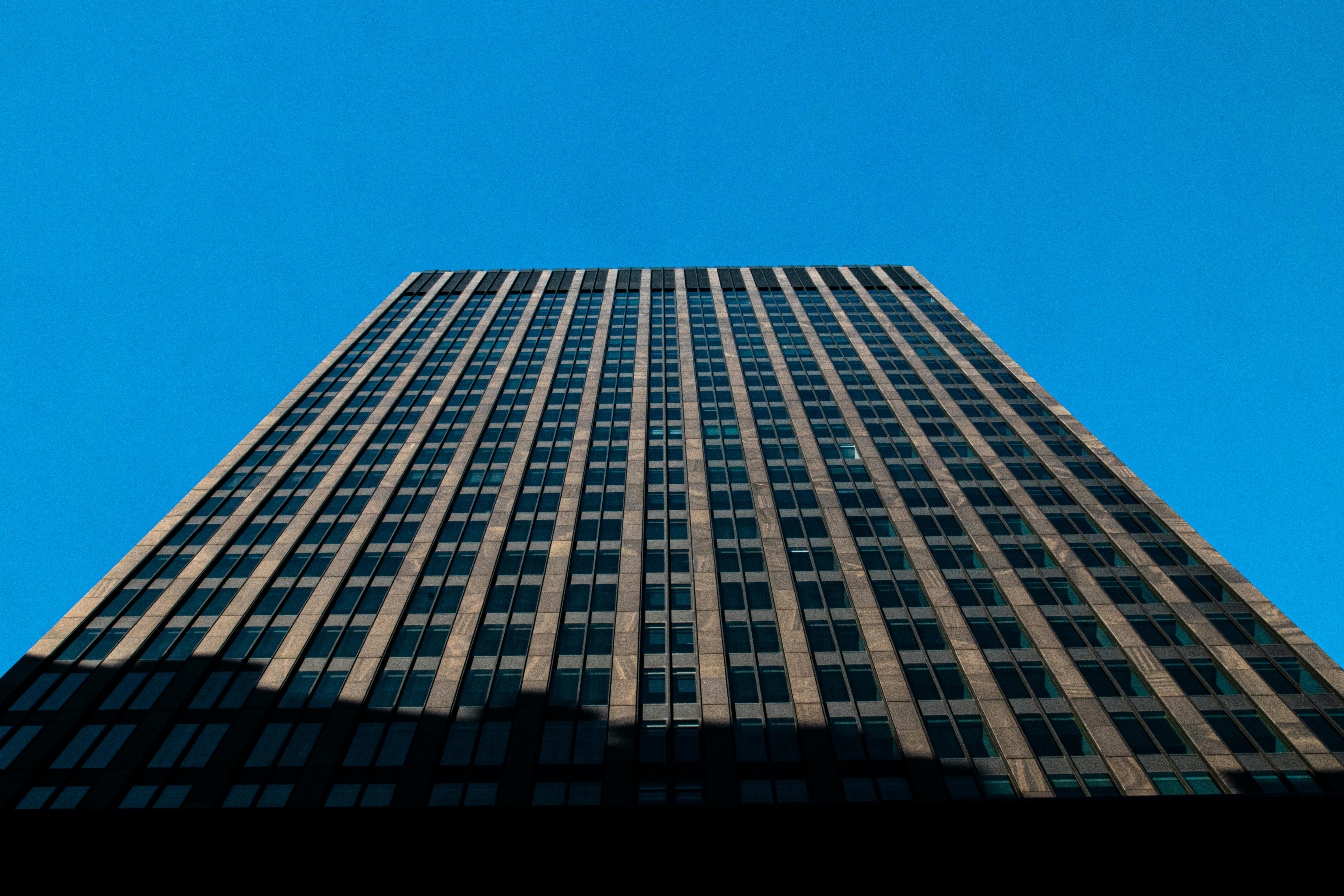 CBN assembles SANs, appeals court ruling on Union Bank takeover