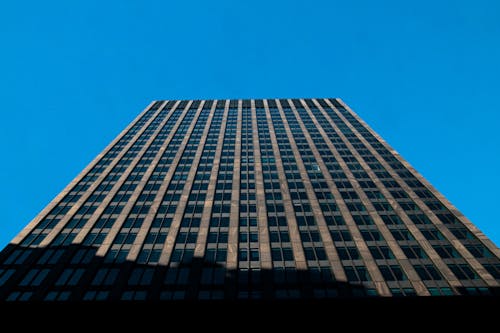 Low-Angle Shot of a High-Rise Building