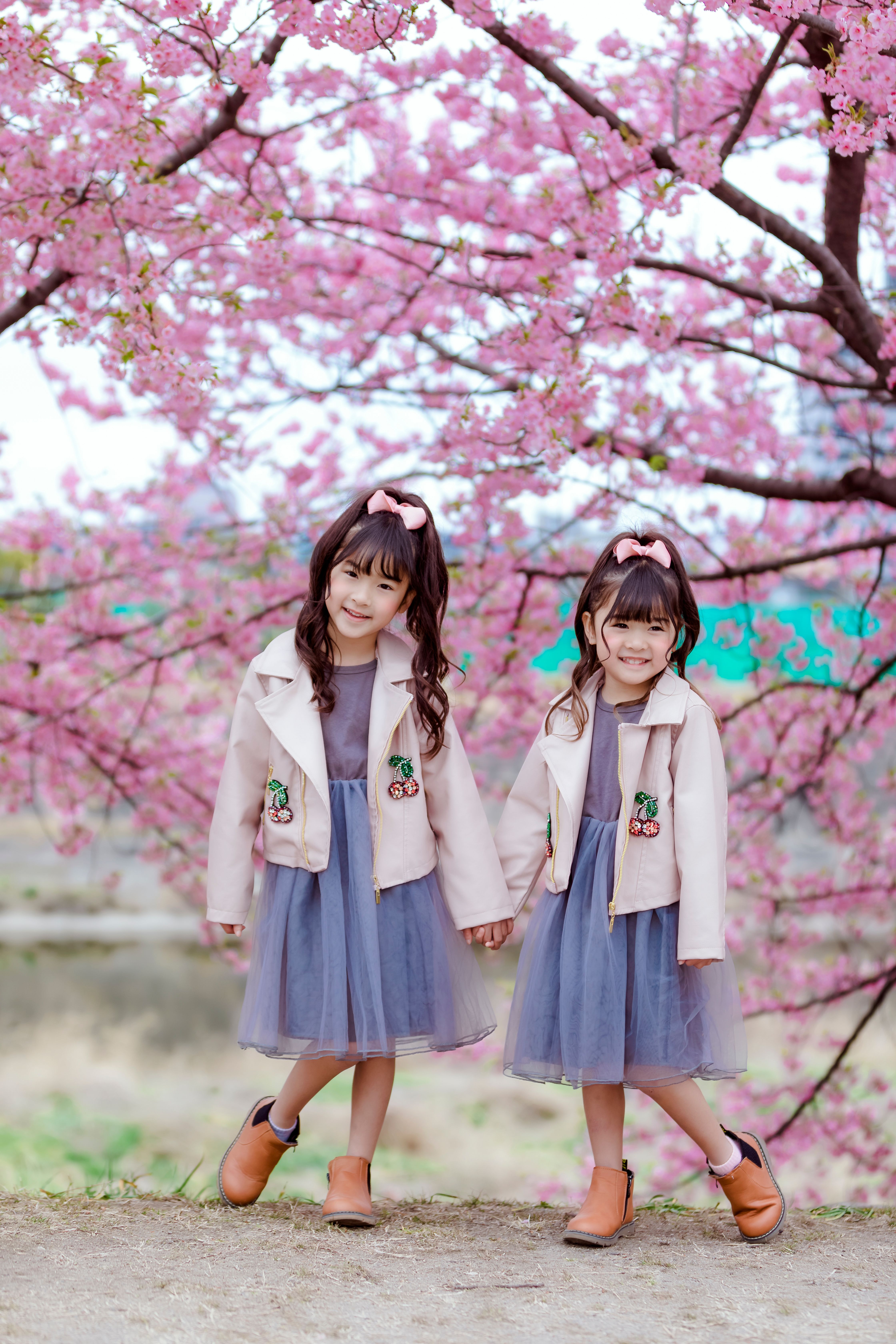Two Pretty Girls Standing under a Cherry Blossom Tree · Free Stock Photo
