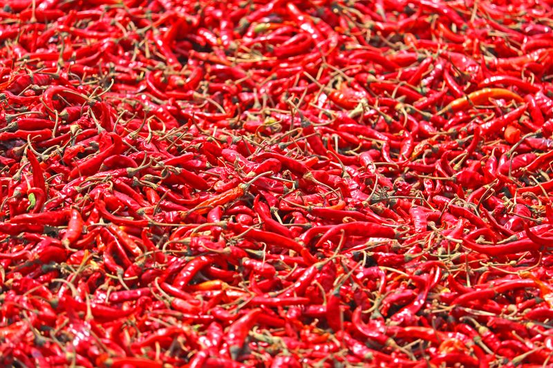 Dried Red Chilli