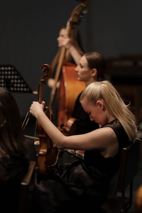 Free A symphony orchestra rehearsal featuring focused violinist and musicians on stage. Stock Photo