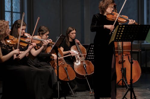 Foto profissional grátis de apresentação, arcos de violino, contrabaixo