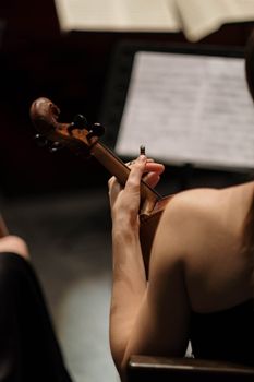 A violinist elegantly playing during a symphonic concert, showcasing skill and musical artistry.