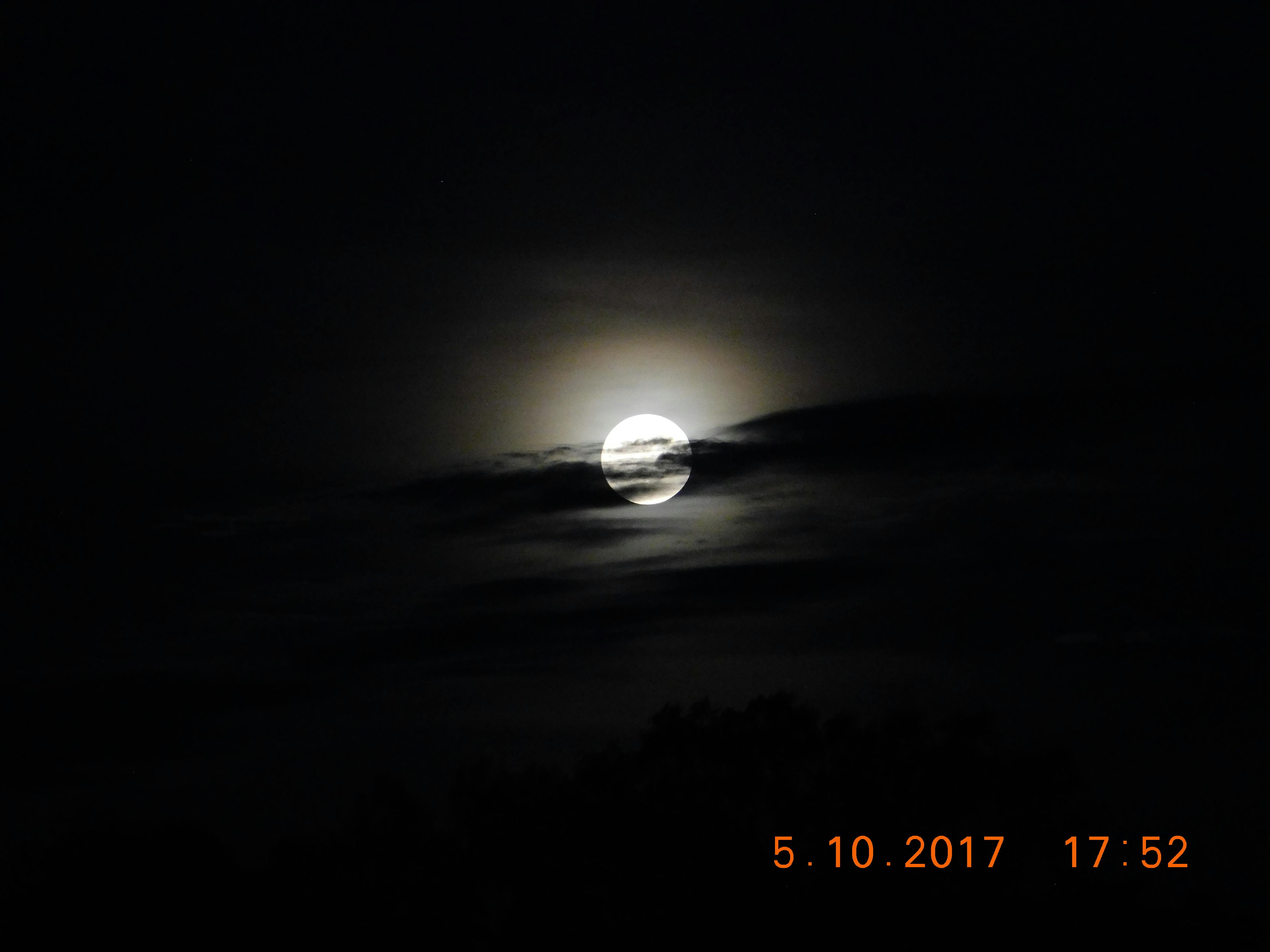 Électrolyseurs industriels pour production hydrogène vert