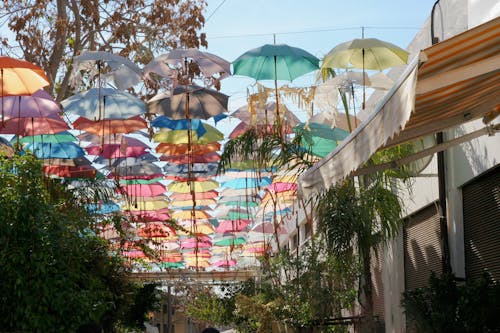 Free stock photo of colours, street, umbrella