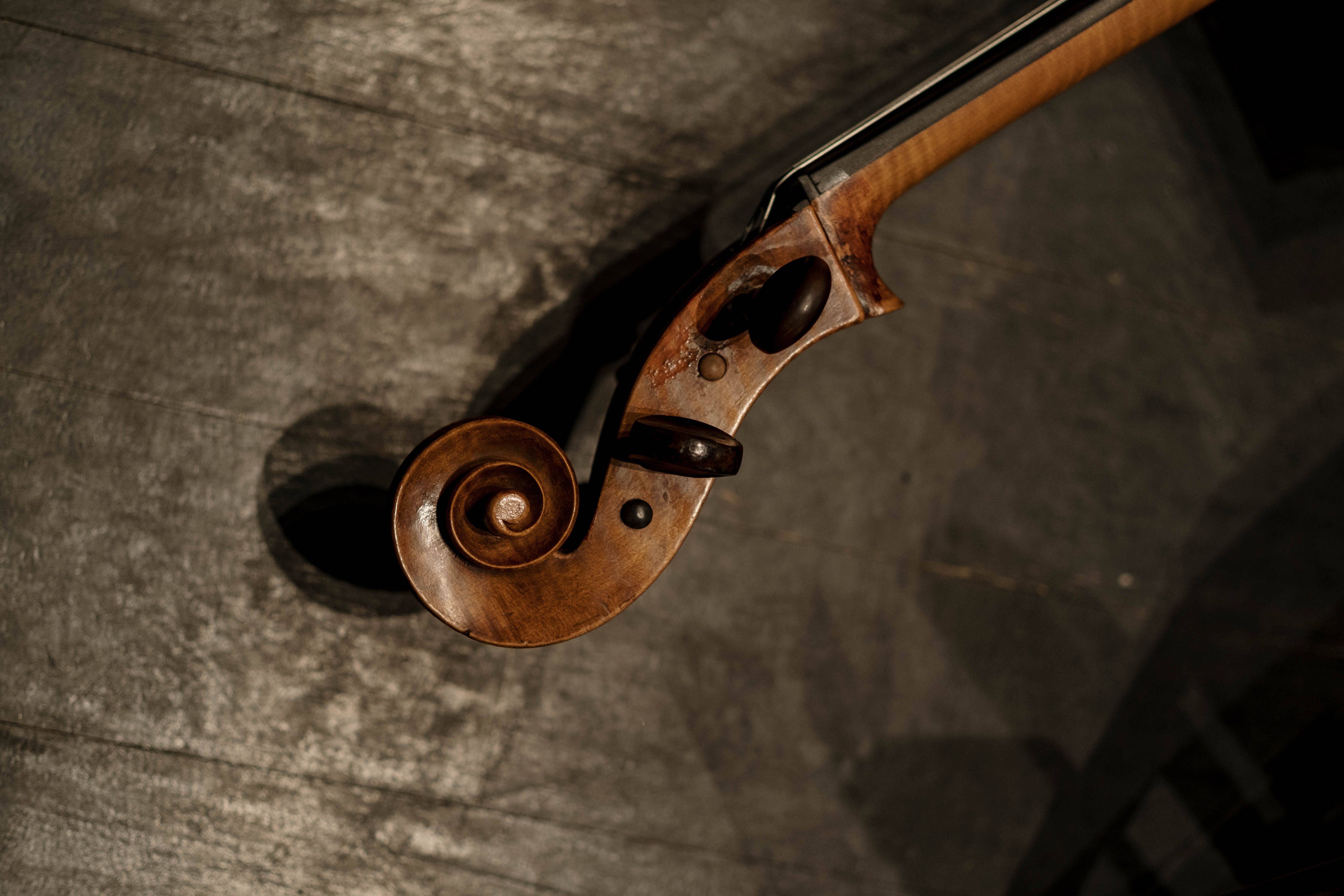 Detailed close-up of a violin scroll against a textured wooden background, showcasing craftsmanship.