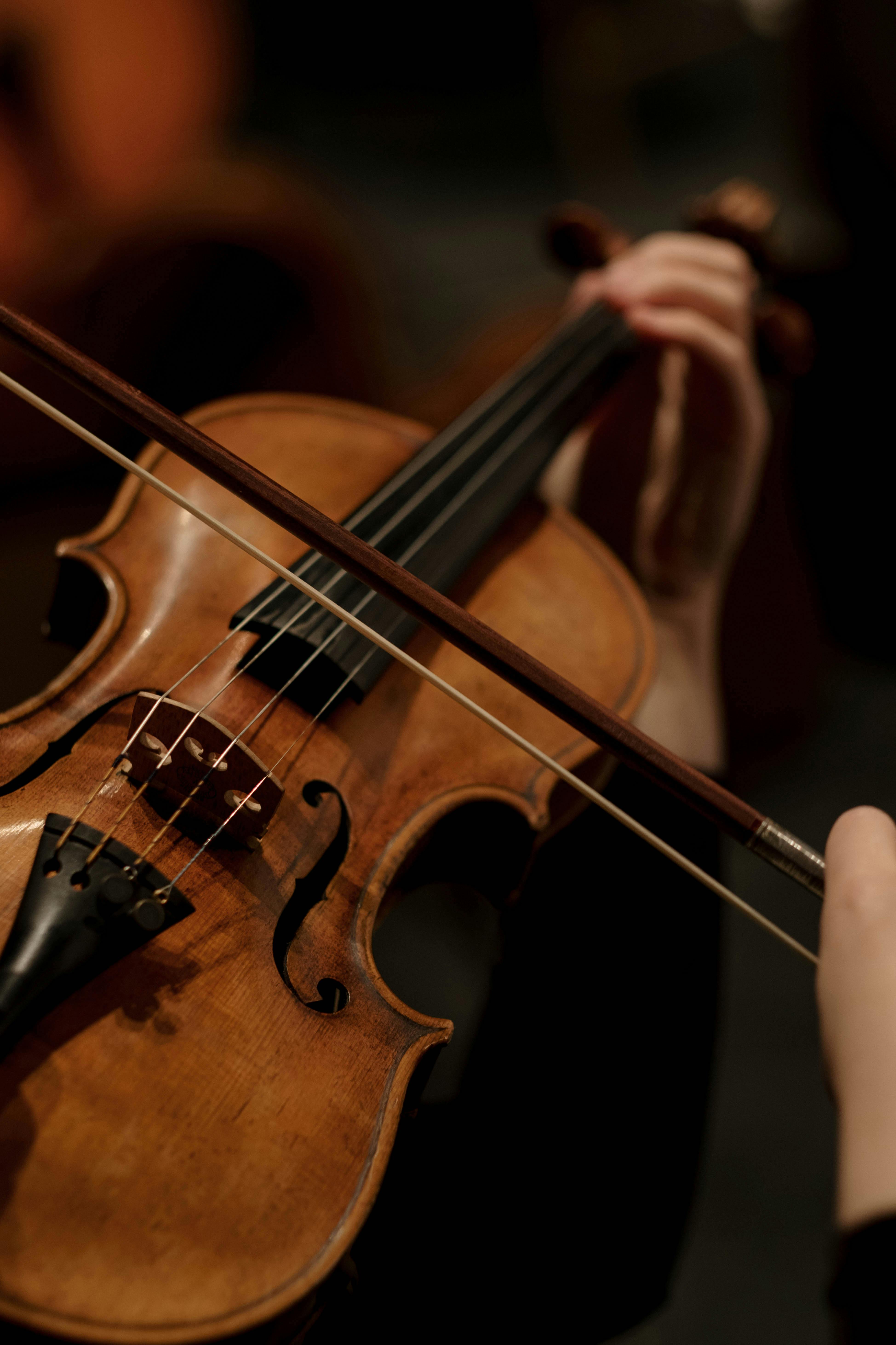 Wallpaper | People | photo | picture | violin, girl, the dark background