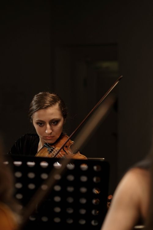 Free Focused young violinist plays passionately indoors, creating serene atmosphere. Stock Photo