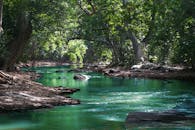 宁静的森林溪流被郁郁葱葱的绿色植物和岩石环绕，是自然度假的理想之地