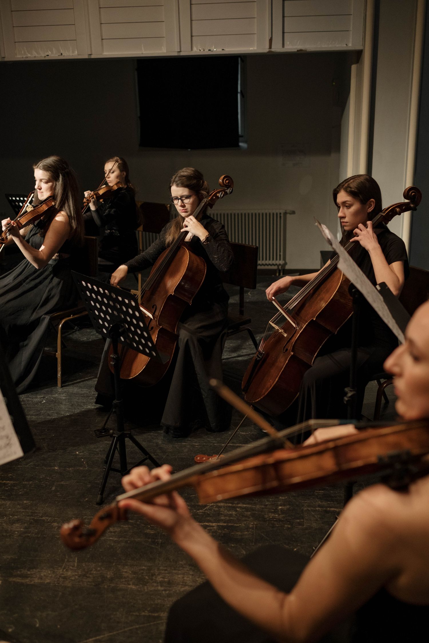 Nordic Suite chamber ensemble