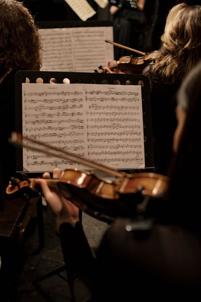 Viori pregătite pentru o seară de muzică de cameră