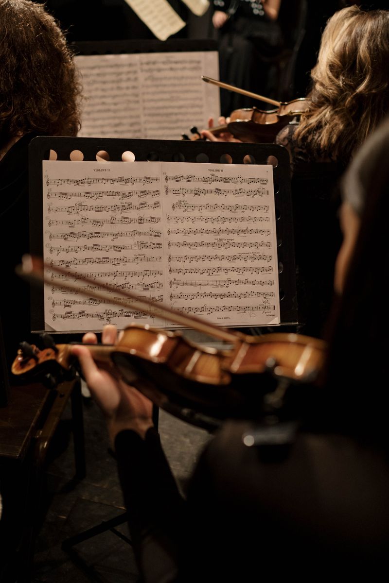 Viori pregătite pentru un ansamblu instrumental