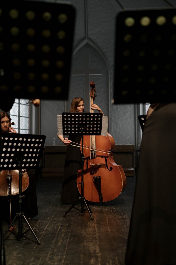 A Woman Playing Brown Cello