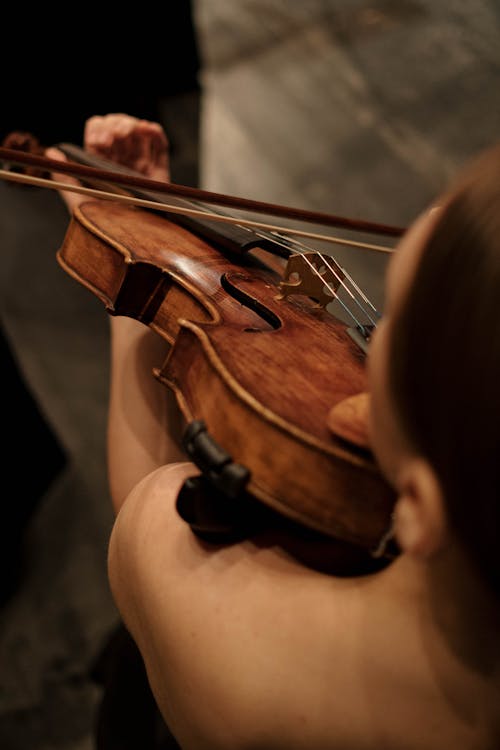 Back View of Woman Playing Violin