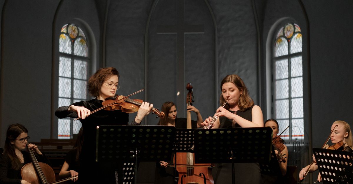 String Instruments People Playing People Playing Musical Instruments · Free Stock Photo