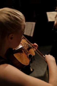 A female violinist playing in an indoor classical concert setting. Musical focus.