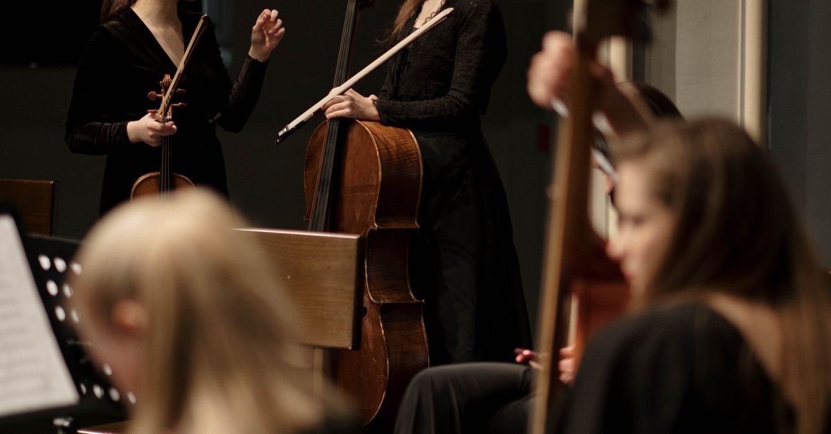 String Instruments People Playing People Playing Musical Instruments · Free Stock Photo