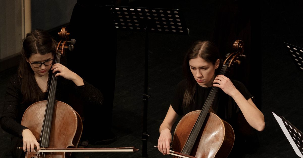 String Instruments People Playing A Group of Women Playing Bowed String Instruments · Free Stock Photo
