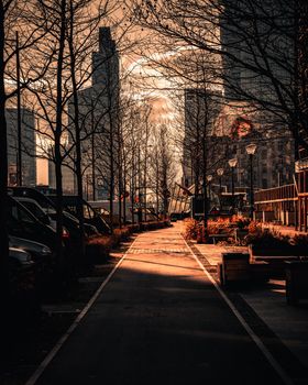 Scenic evening view of a city pathway lined with bare trees in Warsaw, Poland.
