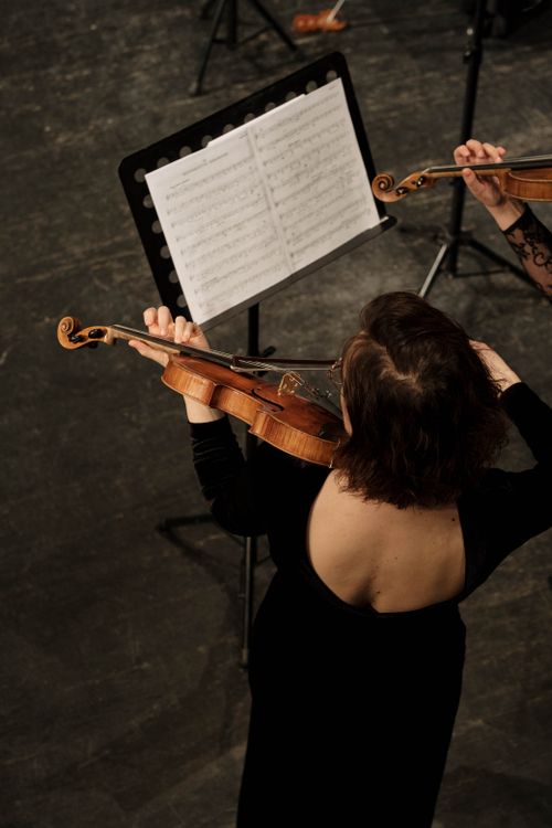 Free Back view of a violinist during a live performance, focusing on the music. Stock Photo
