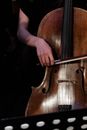 Free stock photo of art, bowed stringed instrument, candid