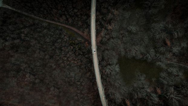 Drone view of transport driving on bridge over lush green and faded tree tops growing in woods