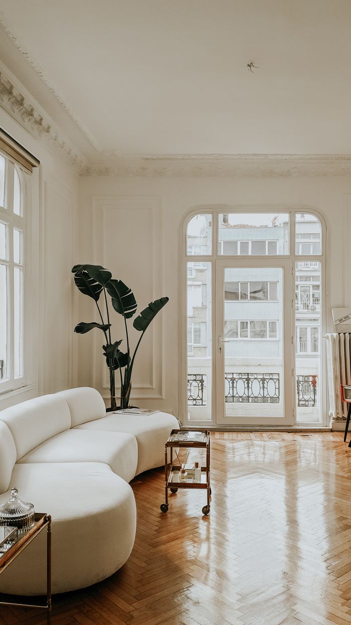 Sunlit living room with a curved sofa and plants, photo by Furknsaglam on Pexels