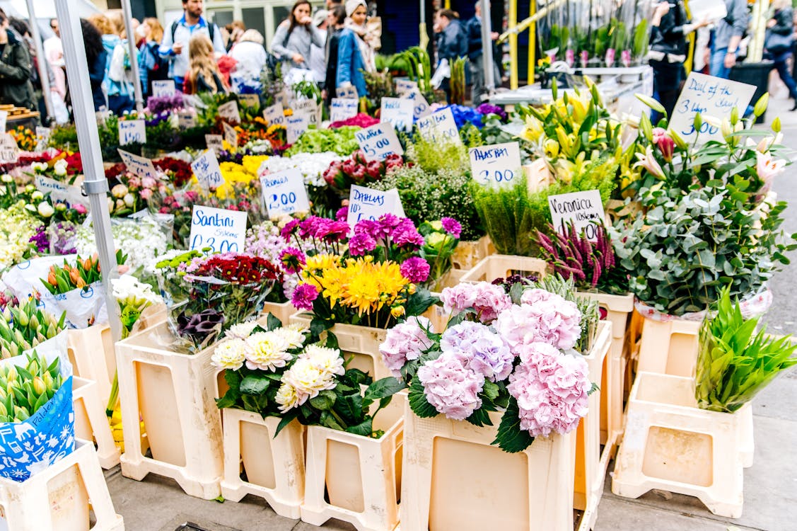 Curso Almacén Floristería