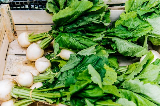 White Radishes