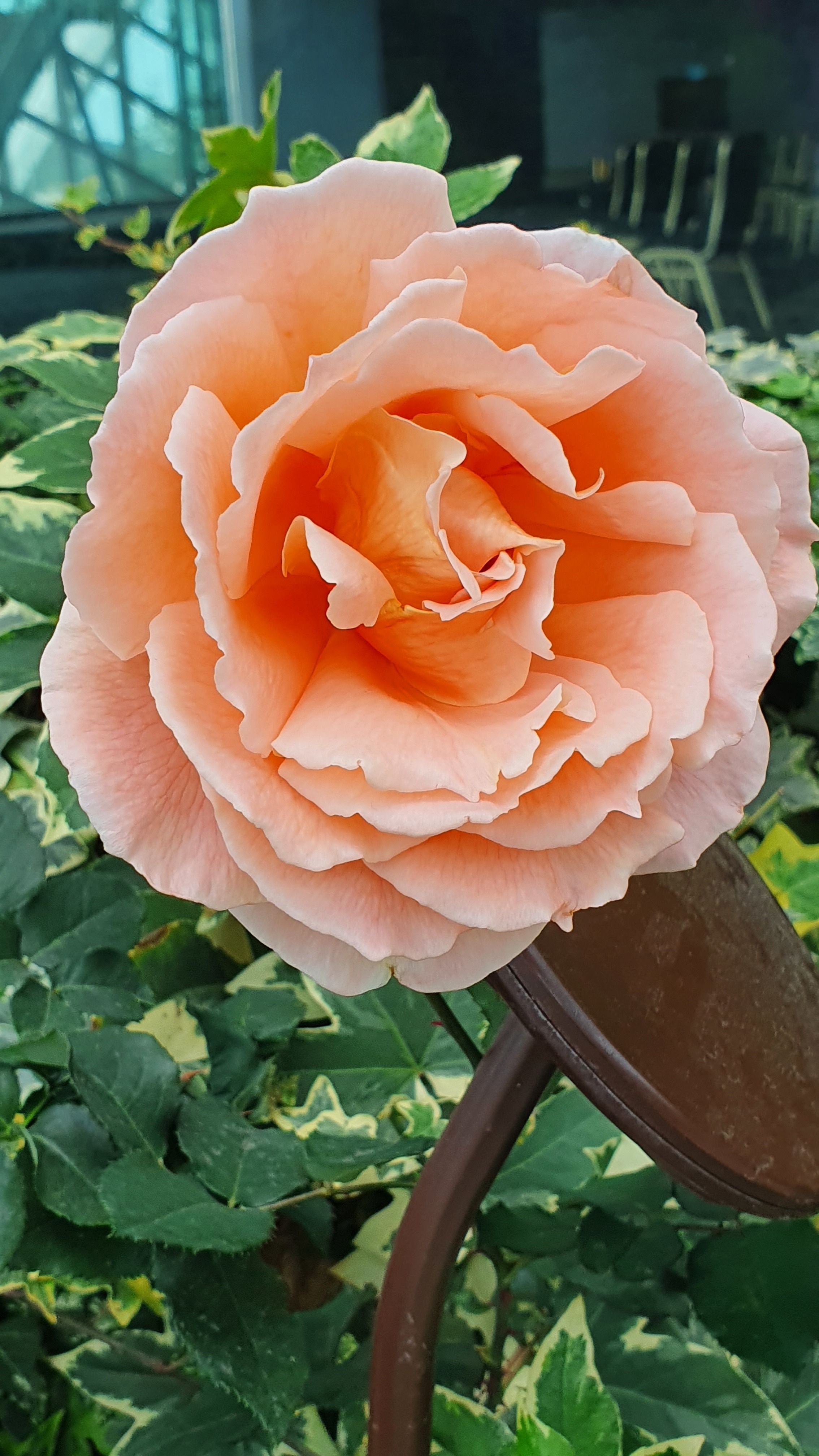 50평 인테리어 예시