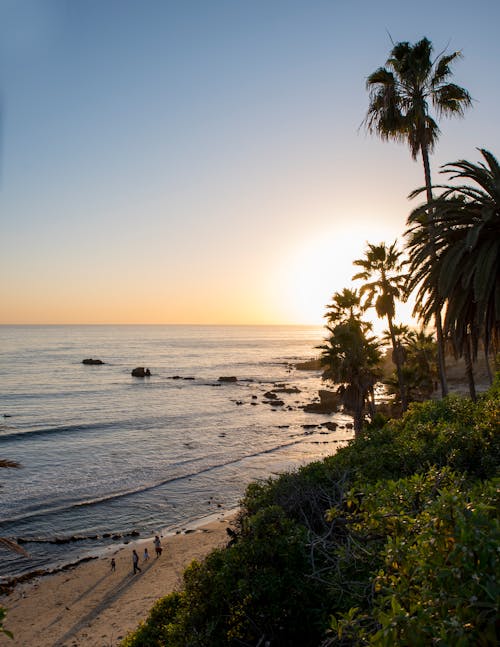 Gratis lagerfoto af californien, dramatisk, gylden time