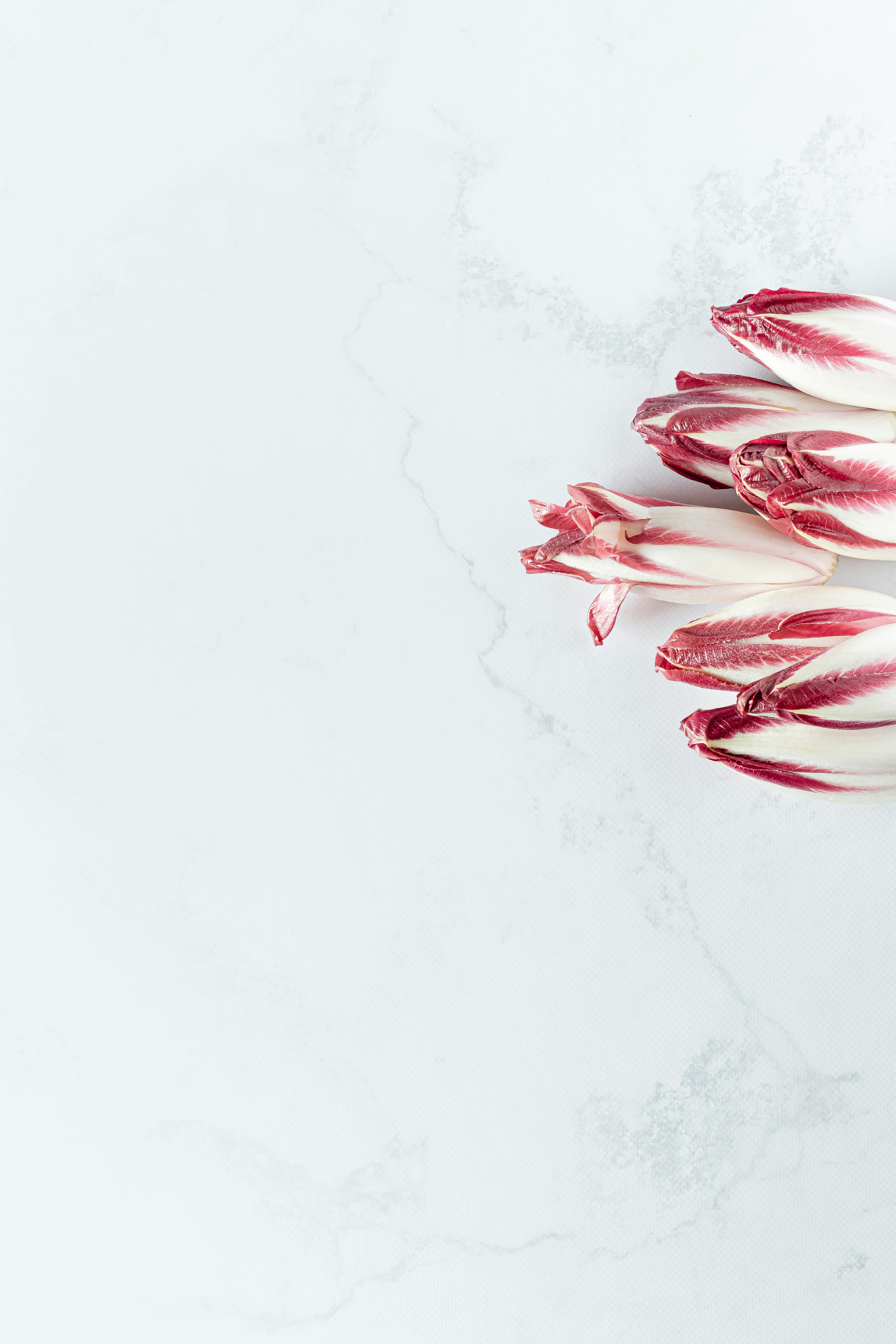 Top view of fresh red chicory leaves on a marble white background.