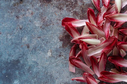 Top View of Chicory Leaves on a Concrete Surface