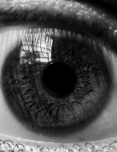 Black and white closeup eye of crop anonymous person with pupil and iris with reflection on eyeball in light room
