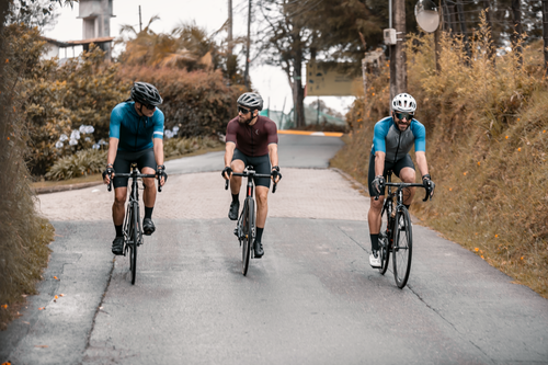 Free Full length of men bicyclists in sportswear and helmets riding on bicycles on asphalt road near plants and shrubs in daytime in countryside Stock Photo