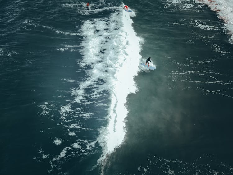 People Surfing On Waves In Sea