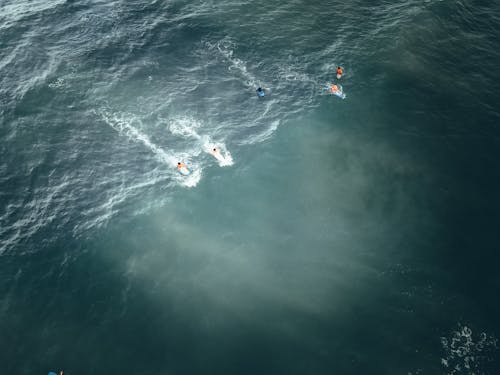 Surfers on surfboards in waves of sea