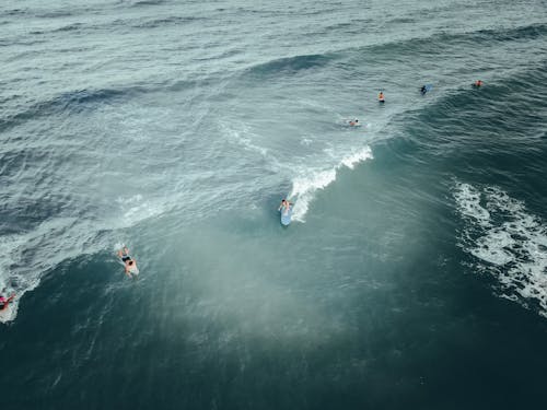 Surfers on surfboards in wavy sea