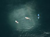 From above shot of surfers floating on surfs in calm water of ocean in sunlight