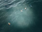 People resting on surfing boards in sea water