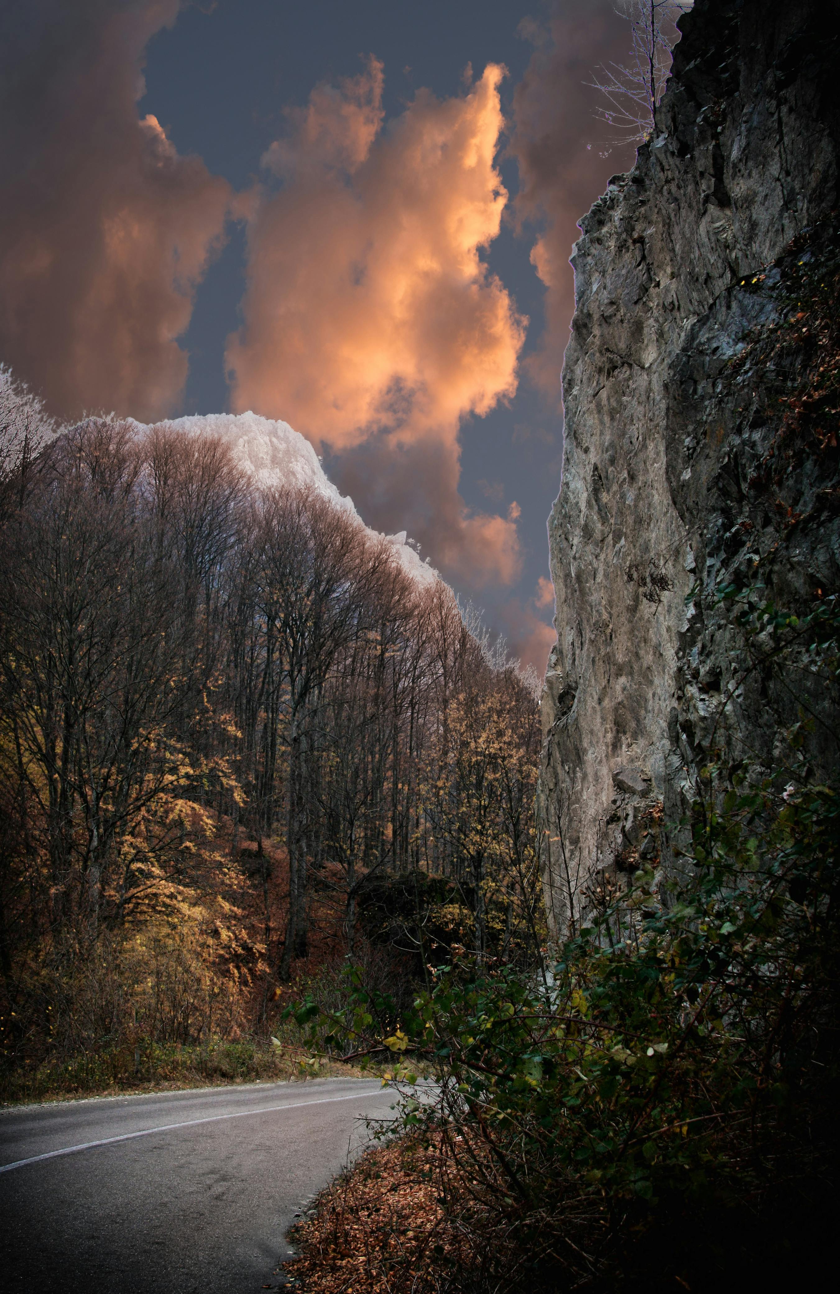 Зеркальный фотоаппарат Canon EOS 250D Kit 18-55 IS STM купить по низкой цене в